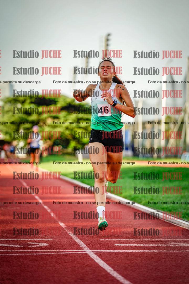 Fotos de los 1500 m llanos de mujeres