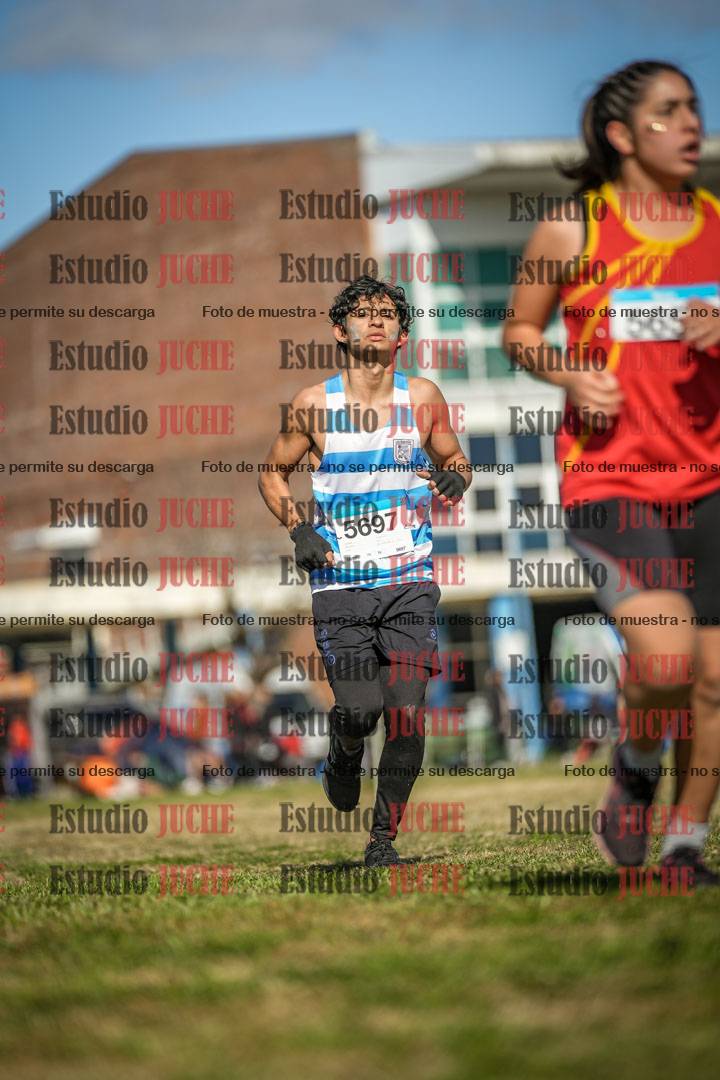 Fotos en el circuito