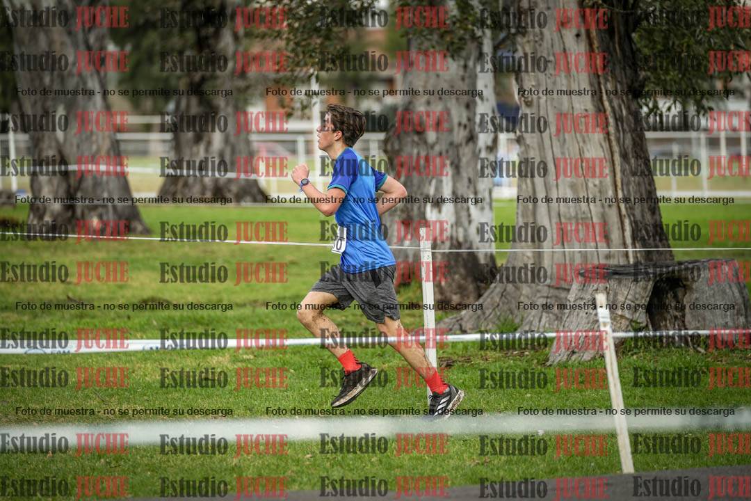 Fotos en el circuito
