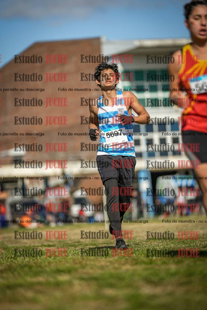 Fotos en el circuito