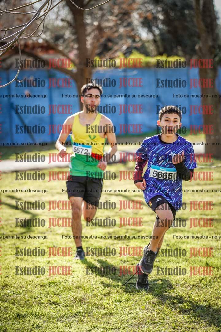 Fotos en el circuito