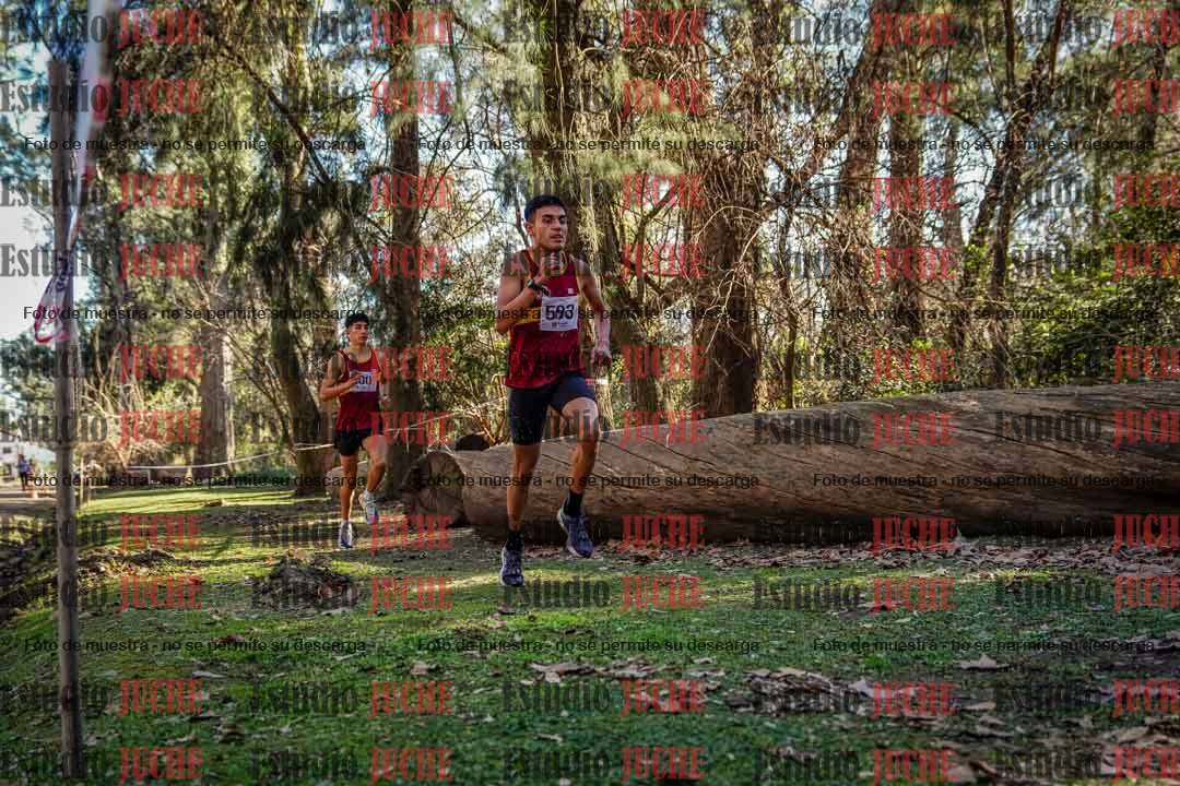 Fotos en el quinto punto del circuito