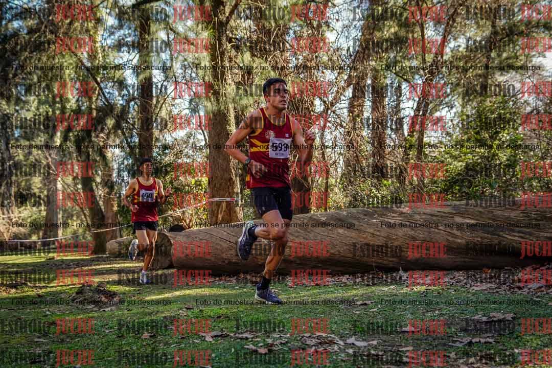Fotos en el quinto punto del circuito