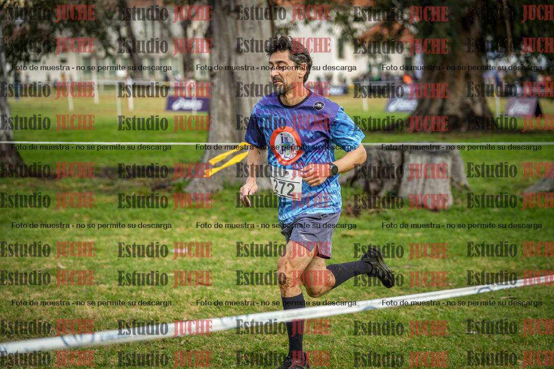 Fotos en el circuito