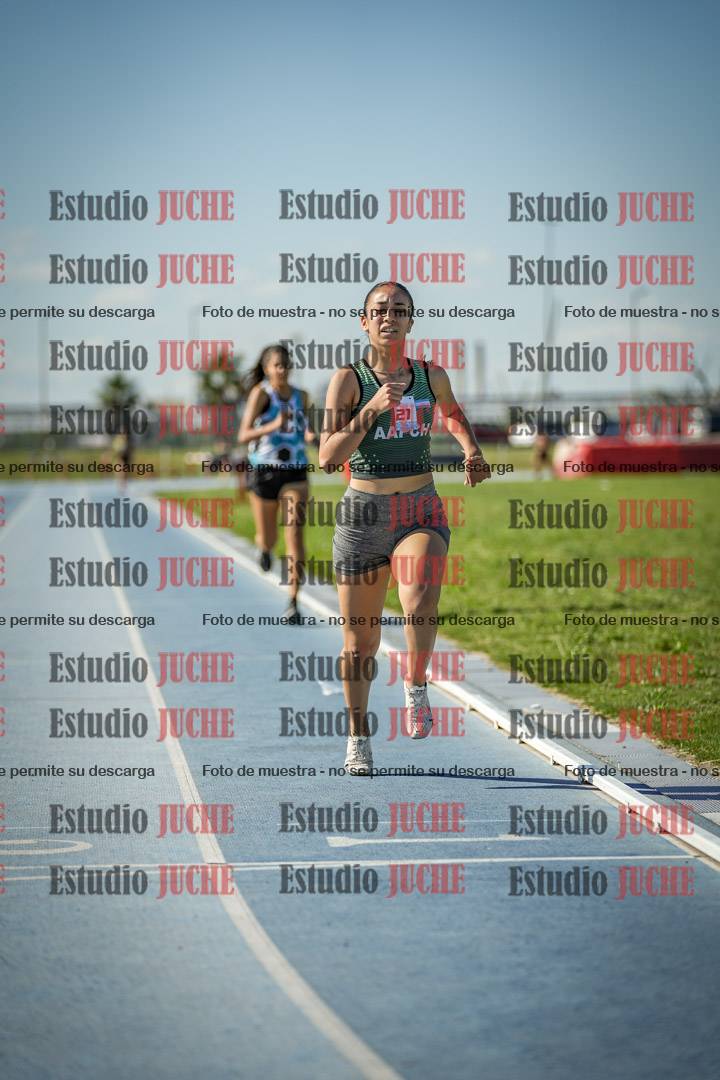 Fotos de los 1500 m llanos de mujeres