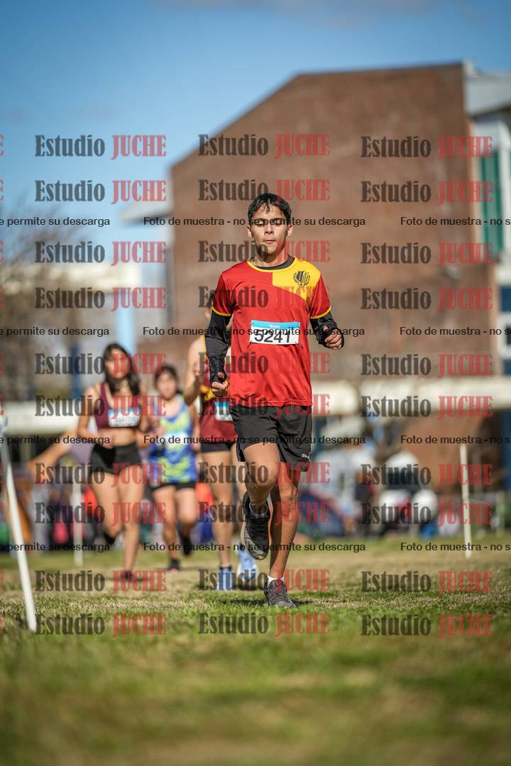 Fotos en el circuito