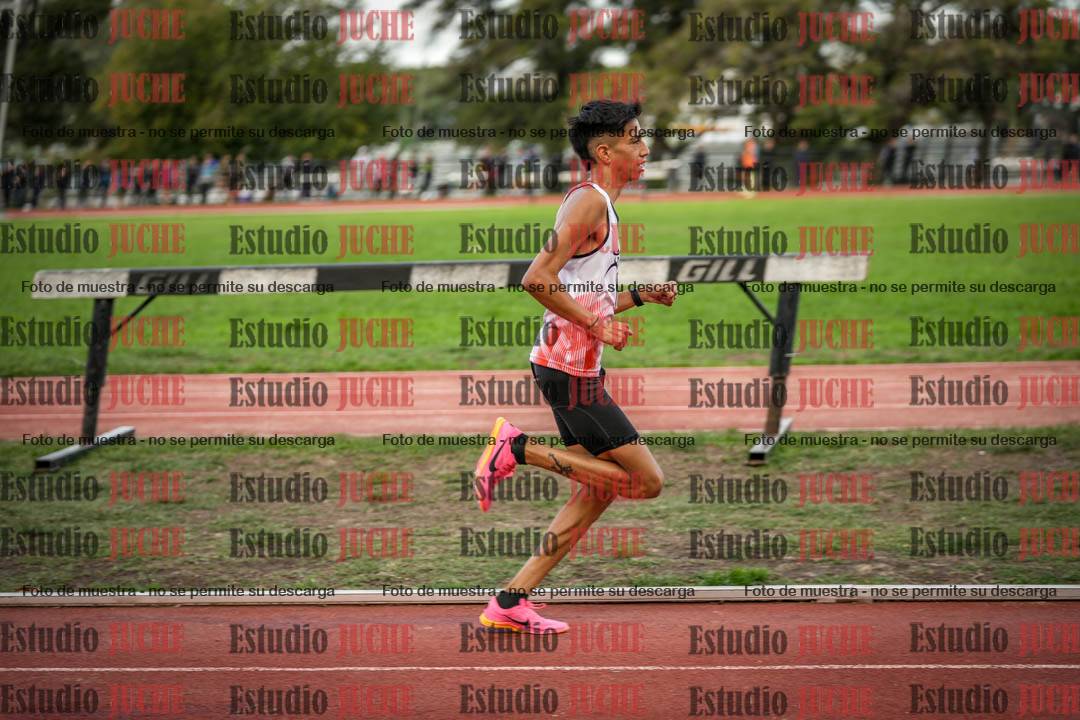 Fotos de los 3000 m llanos de varones