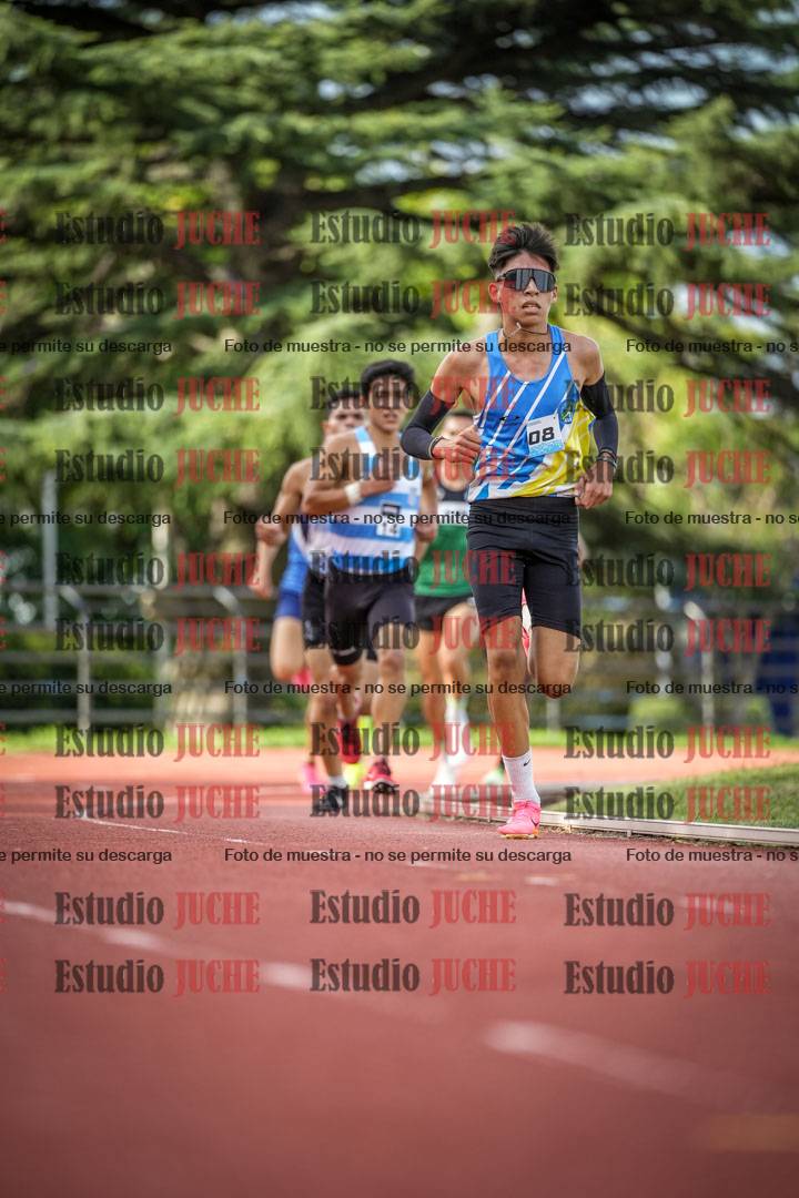 Fotos de los 3000 m llanos de varones