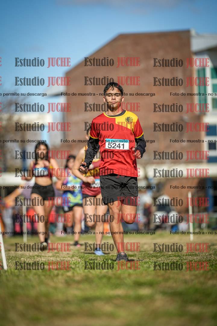 Fotos en el circuito