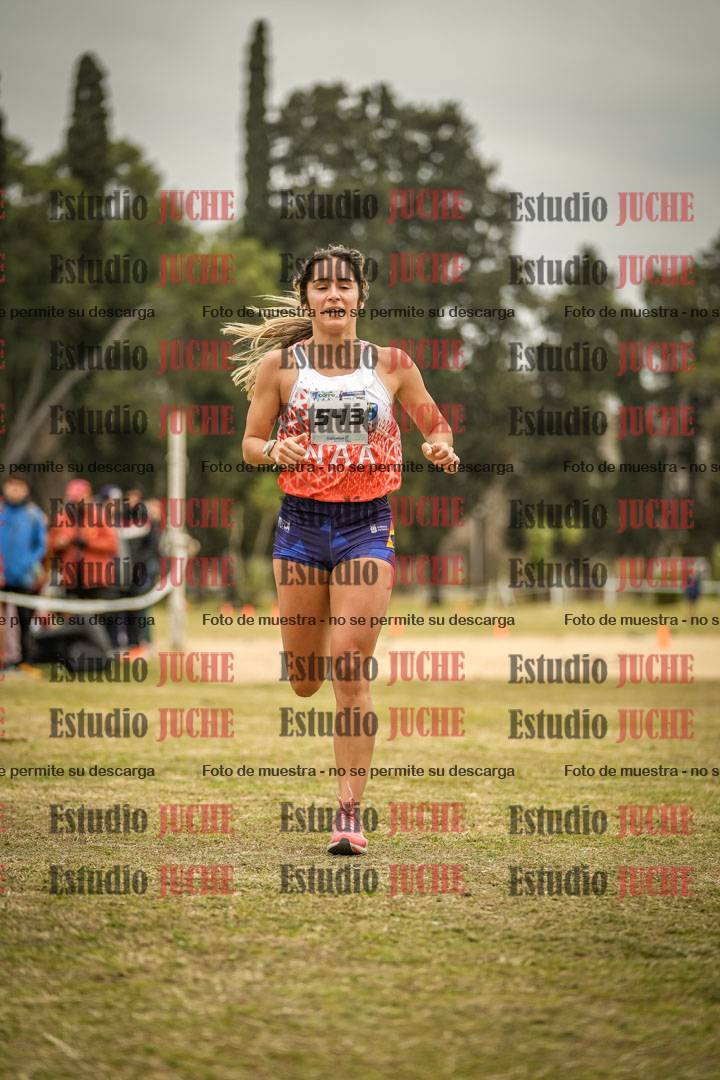 Fotos de la llegada