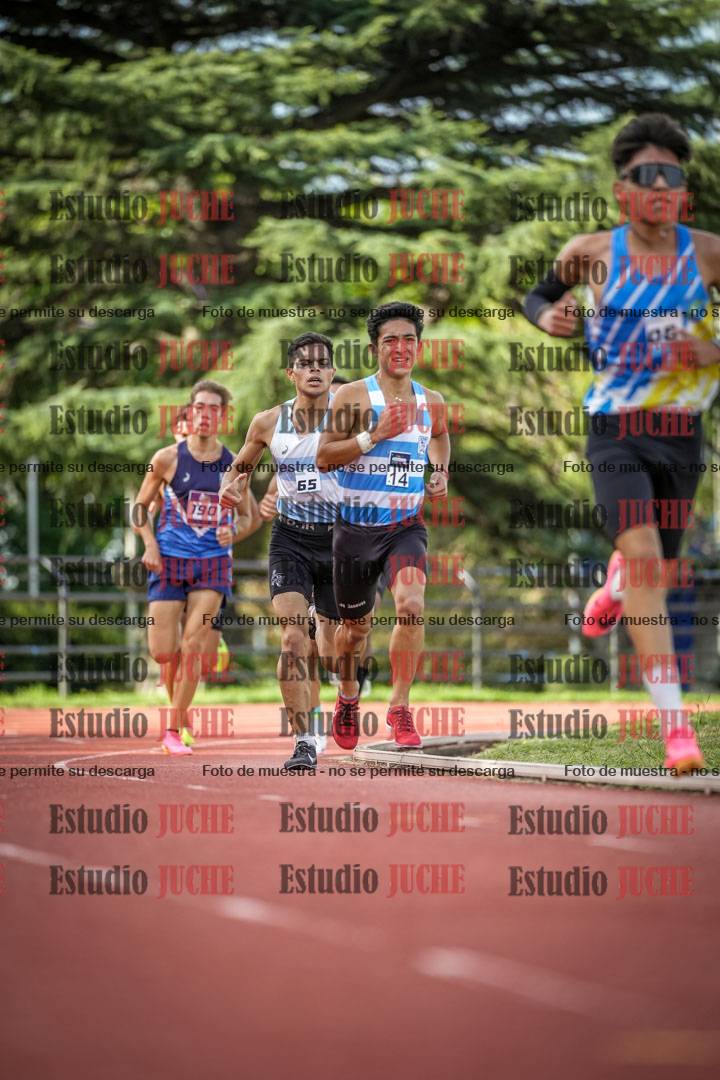 Fotos de los 3000 m llanos de varones