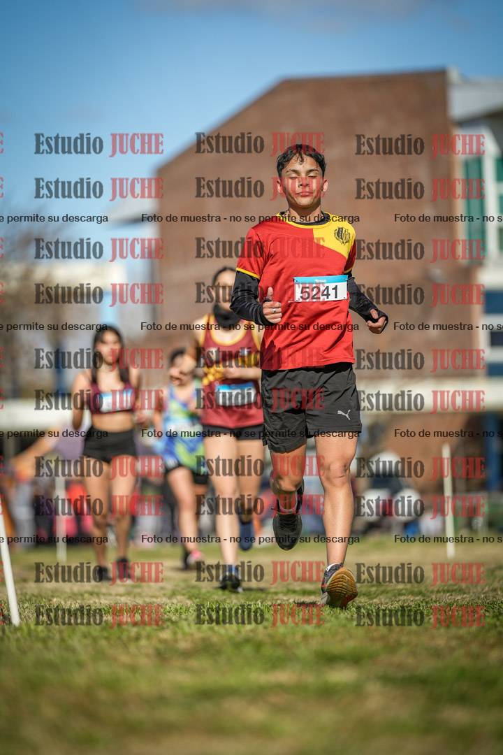 Fotos en el circuito