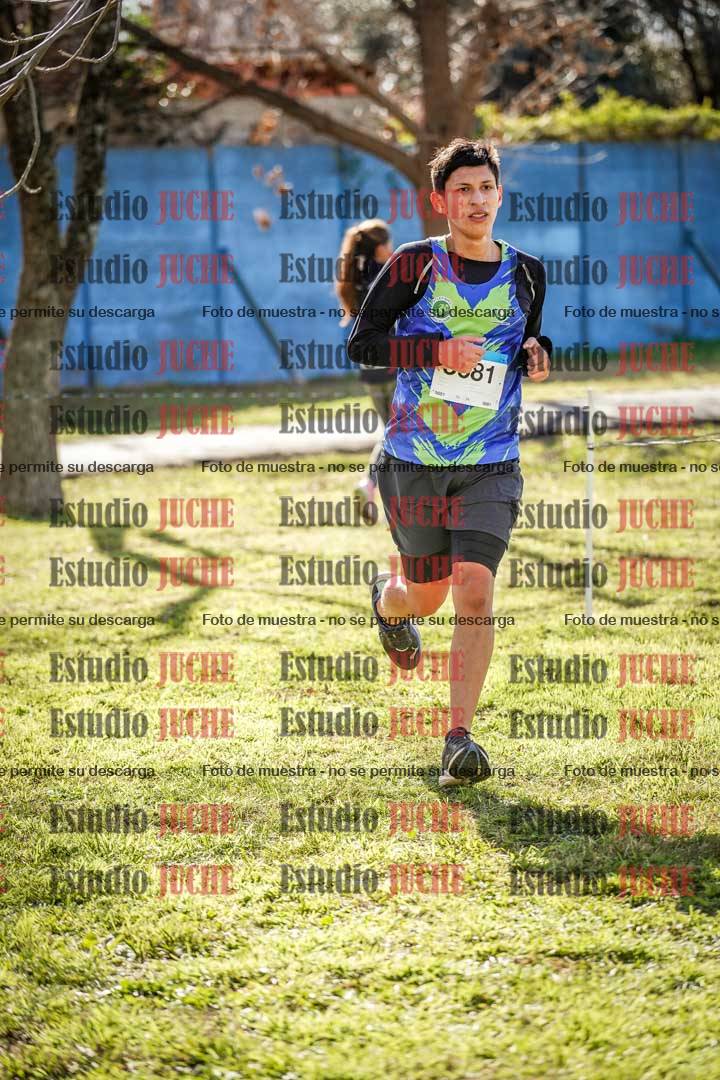 Fotos en el circuito