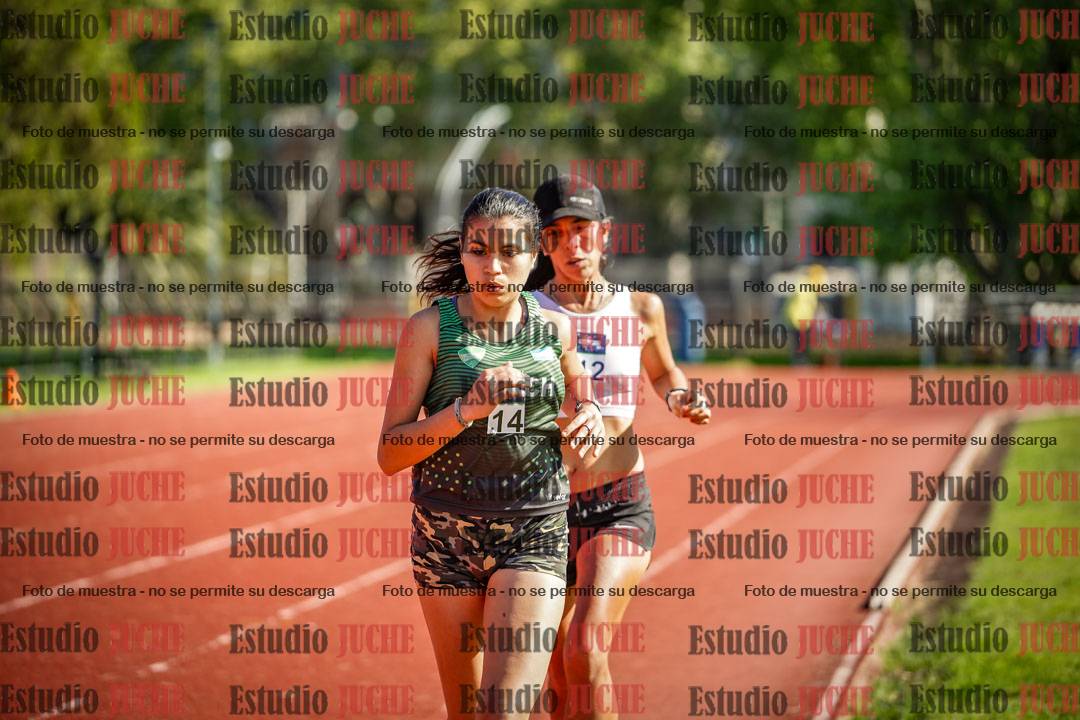 Fotos de los 5000 m llanos de mujeres y varones