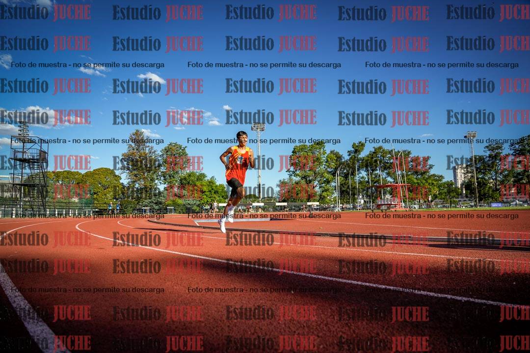 Fotos de los 3000 m llanos de varones