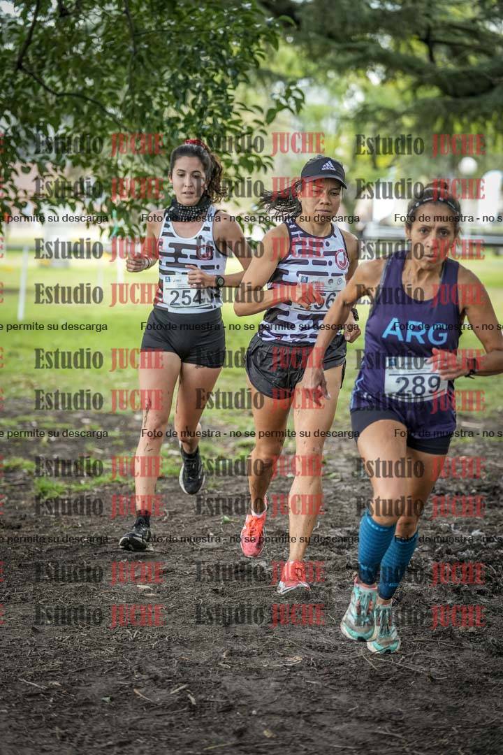 Fotos en el circuito