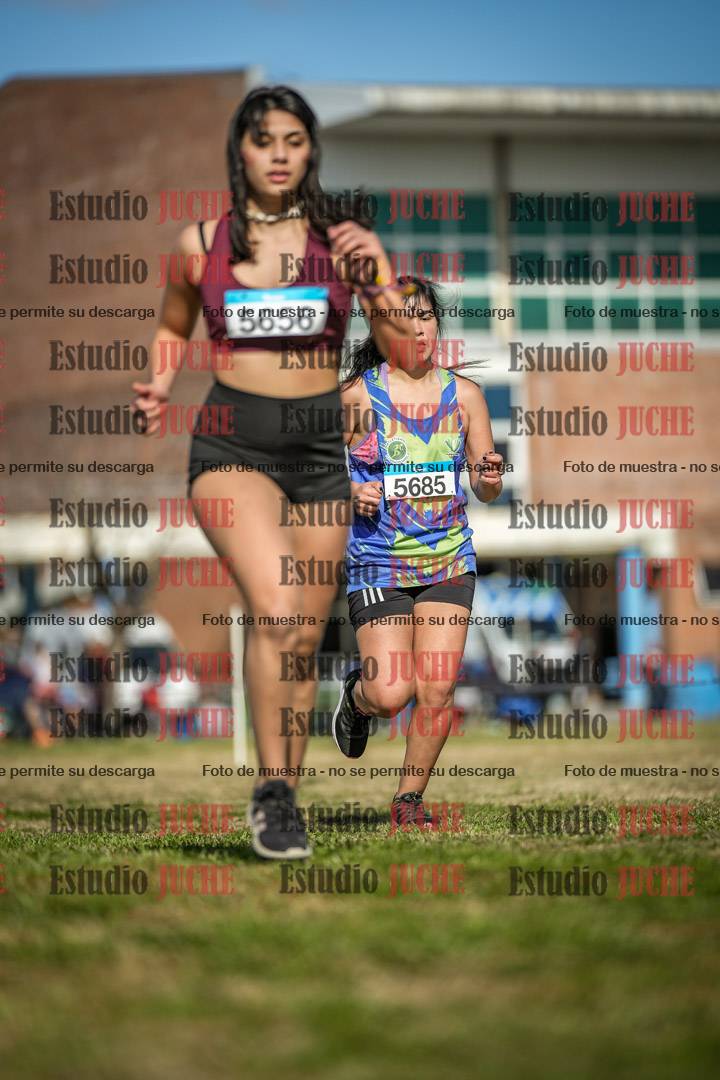 Fotos en el circuito