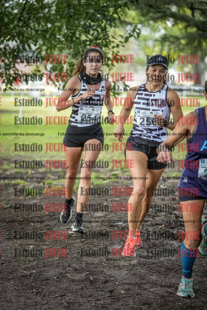 Fotos en el circuito