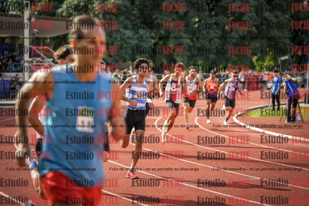 Fotos de los 800 m llanos de varones