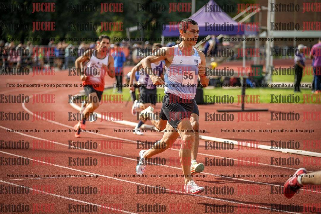 Fotos de los 800 m llanos de varones