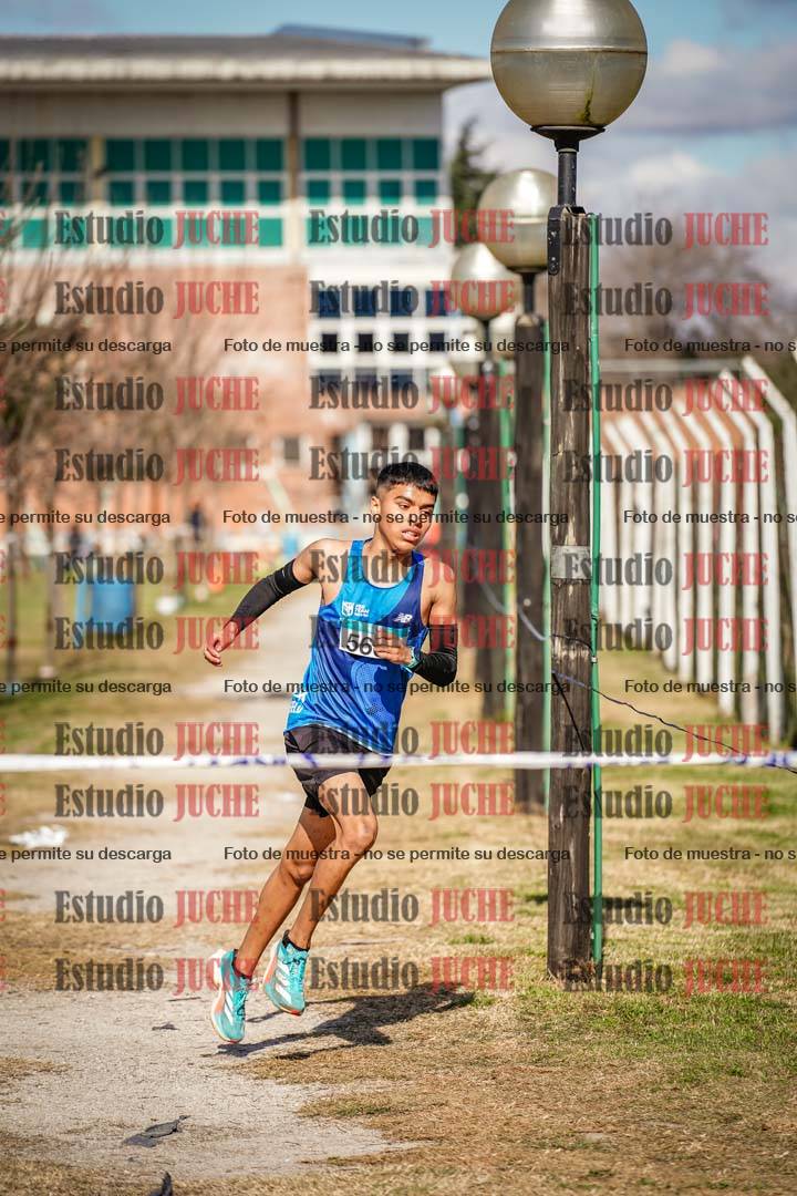Fotos en el circuito