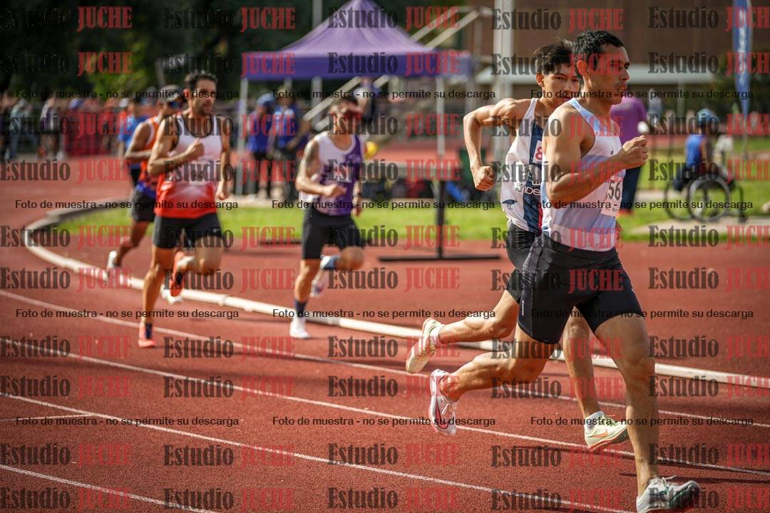Fotos de los 800 m llanos de varones
