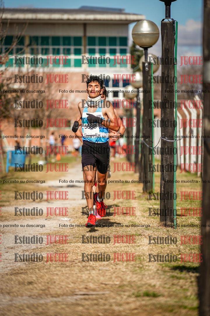 Fotos en el circuito