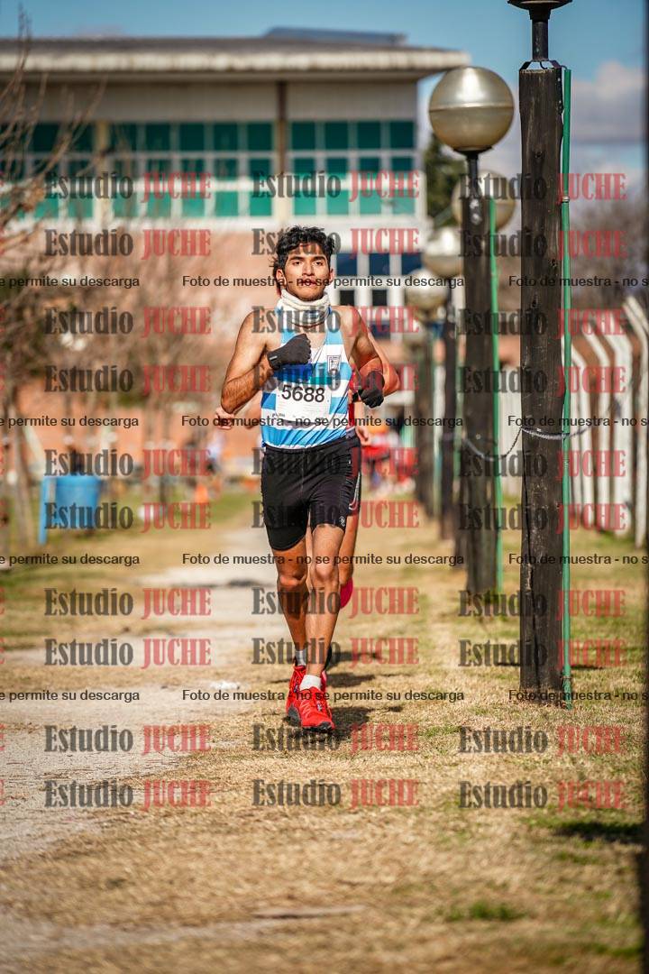 Fotos en el circuito
