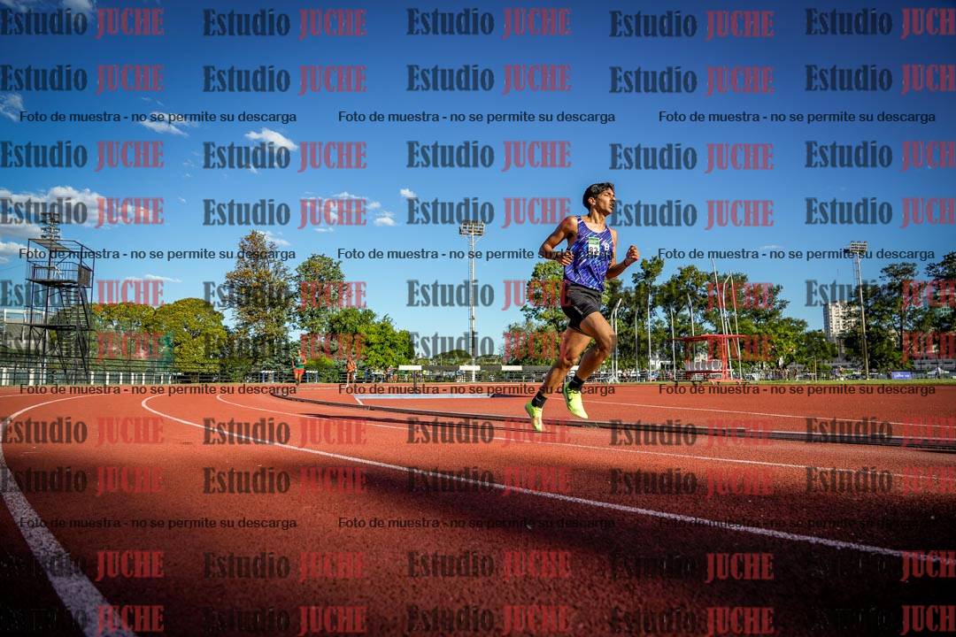 Fotos de los 3000 m llanos de varones