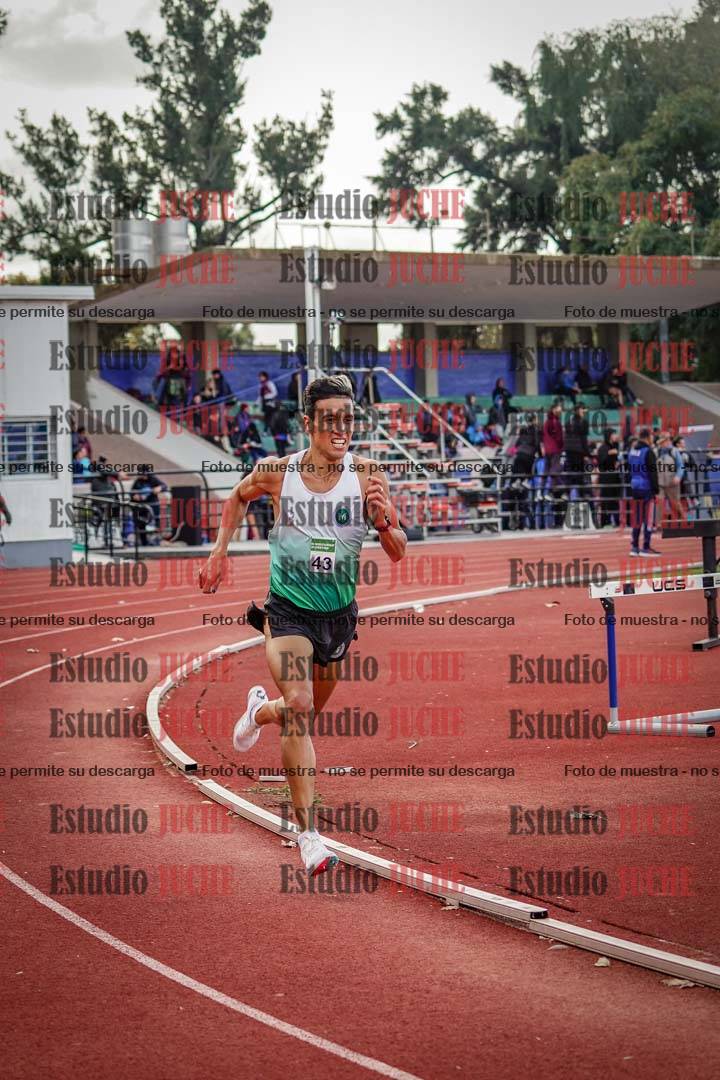 Fotos de los 3000 m llanos de varones
