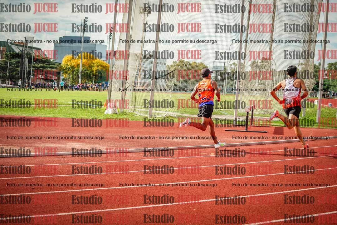 Fotos de los 800 m llanos de varones