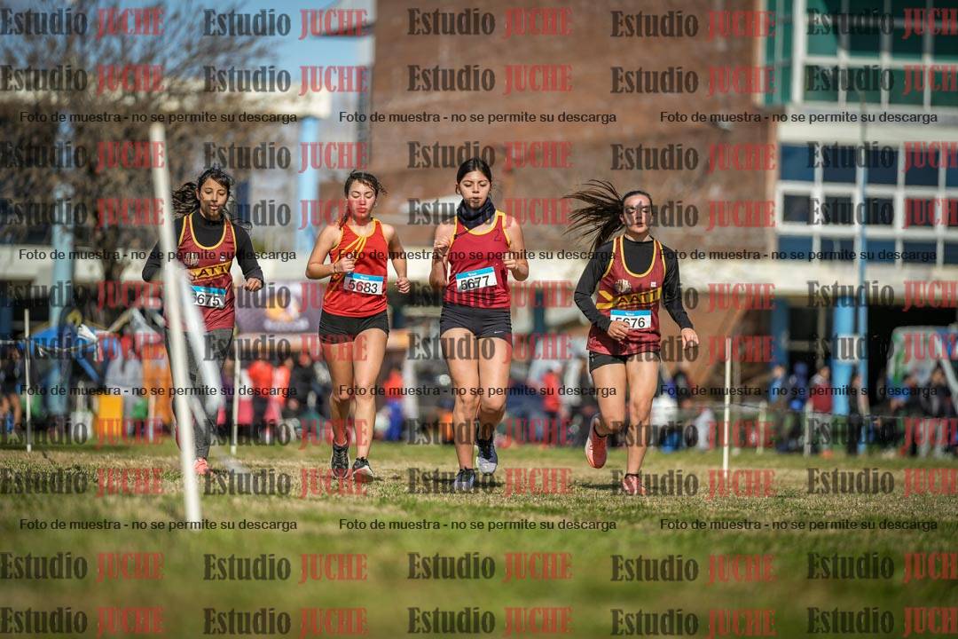 Fotos en el circuito