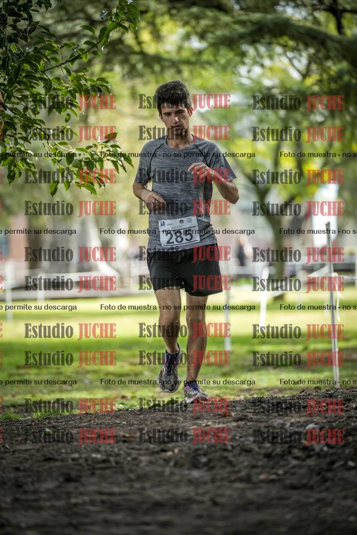 Fotos en el circuito