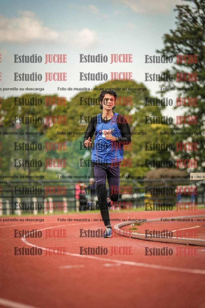 Fotos de los 5000 m llanos
