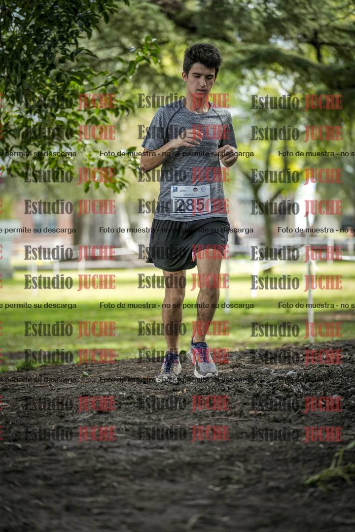 Fotos en el circuito