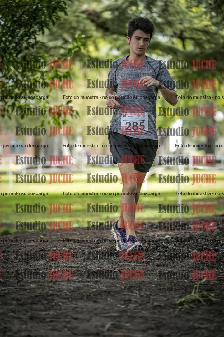 Fotos en el circuito