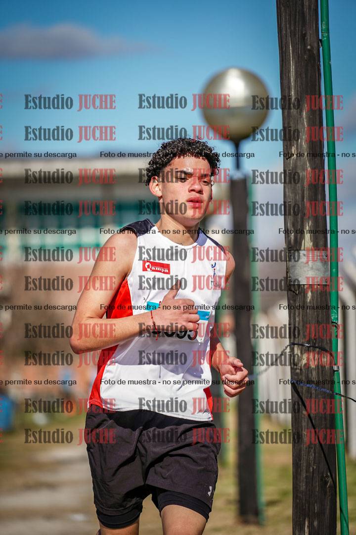 Fotos en el circuito