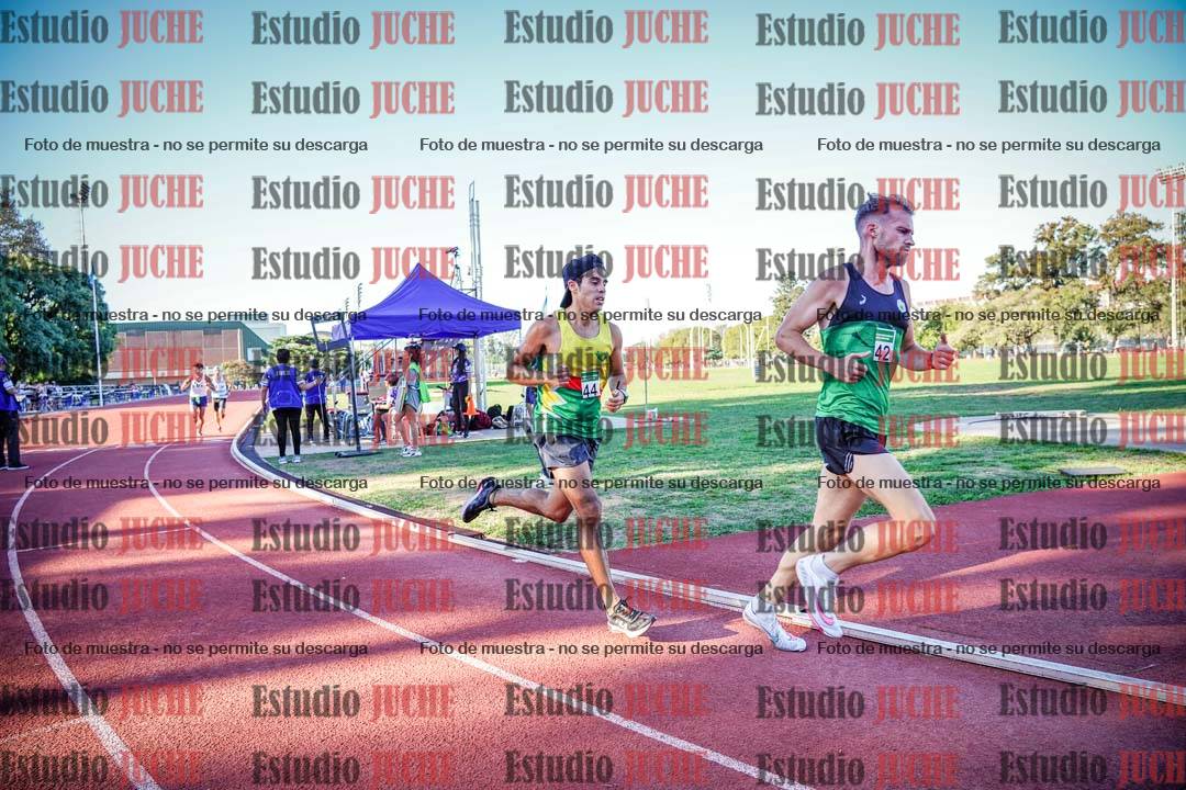 Fotos de los 3000 m llanos de varones