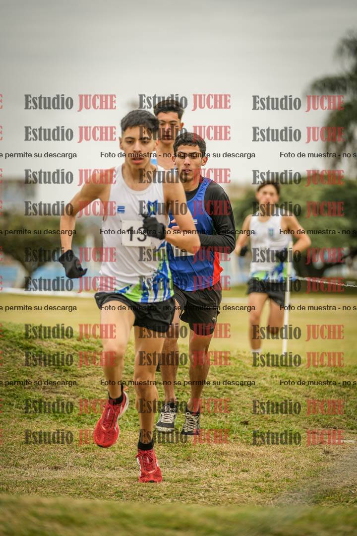 Fotos en el circuito