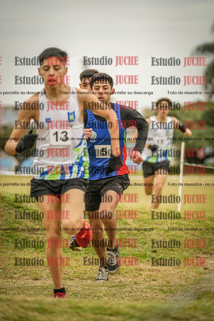 Fotos en el circuito
