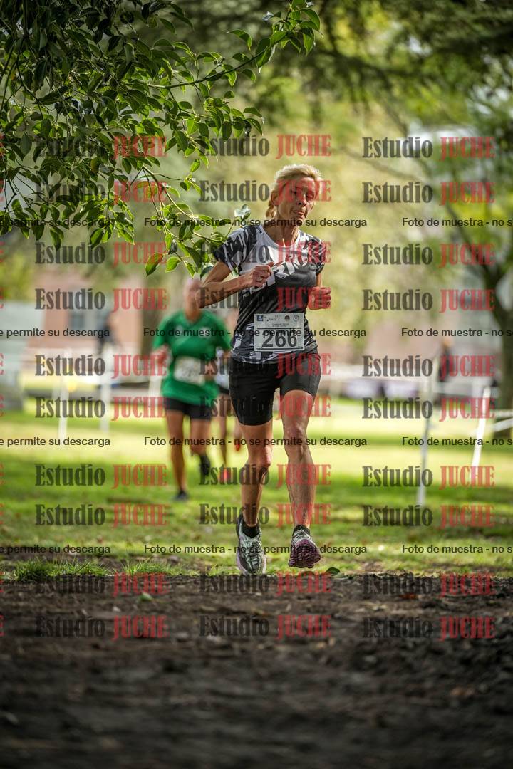 Fotos en el circuito