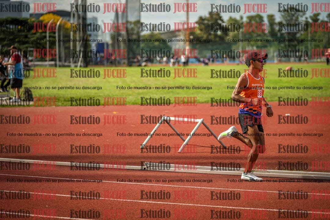 Fotos de los 800 m llanos de varones