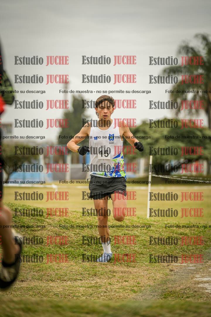 Fotos en el circuito