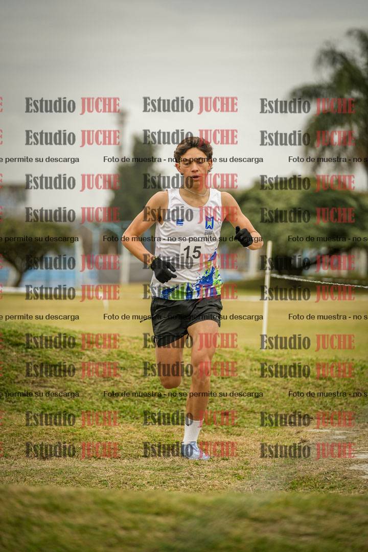 Fotos en el circuito