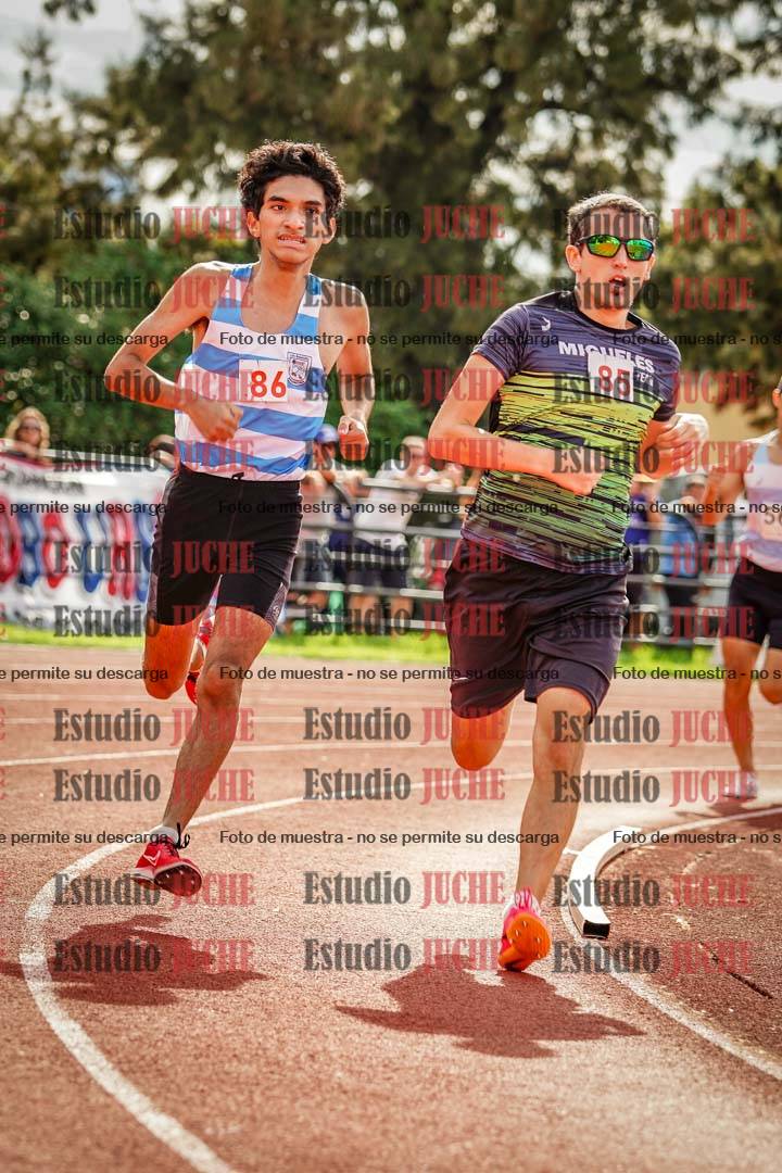 Fotos de los 800 m llanos de varones