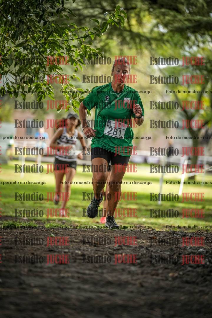 Fotos en el circuito