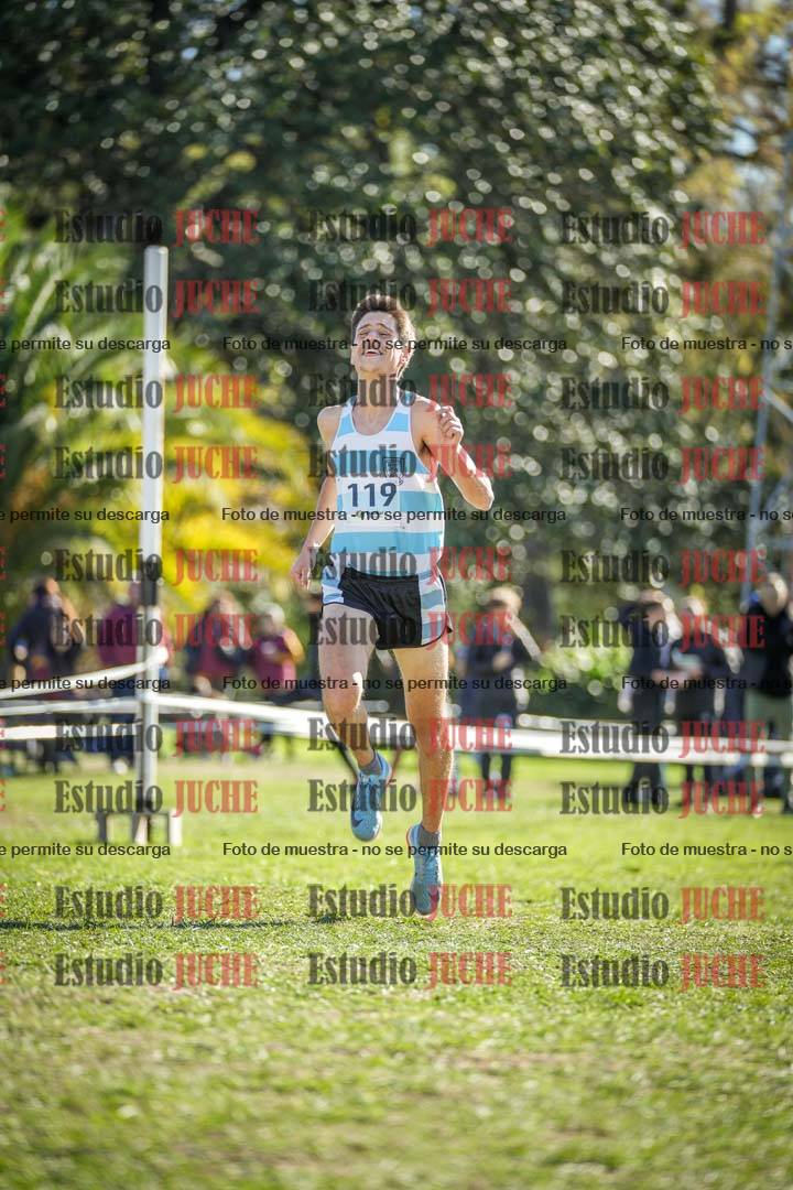 Fotos de la llegada del cross de 8000 m