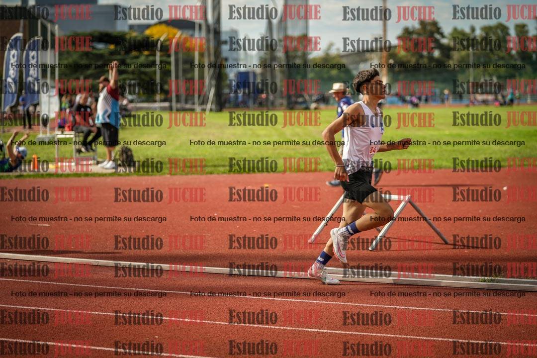Fotos de los 800 m llanos de varones