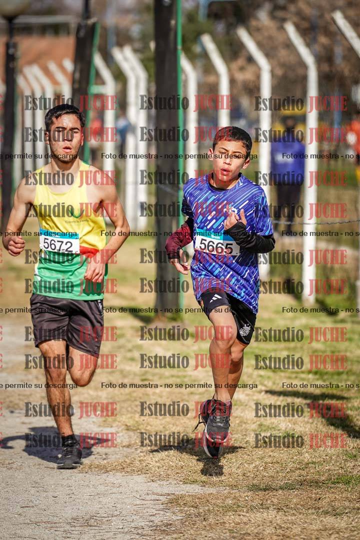 Fotos en el circuito