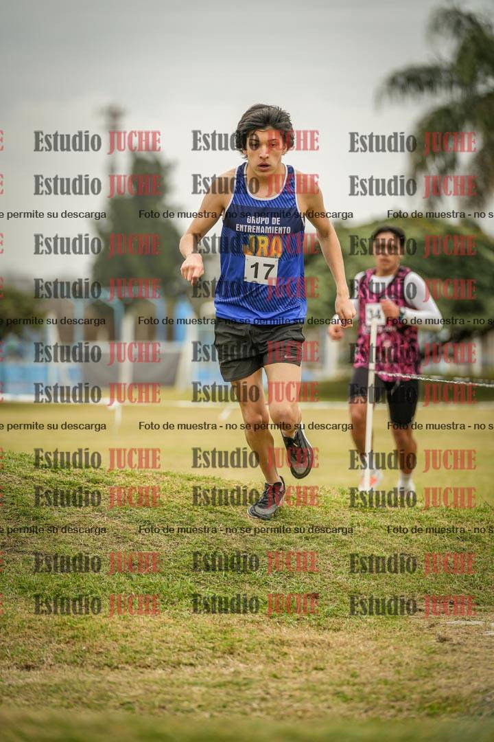 Fotos en el circuito